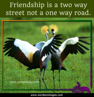 Confused Friendship Quotes Funny