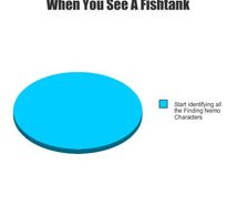finding-nemo-fish-fishtank-funny-funny-graphic-183835.jpg