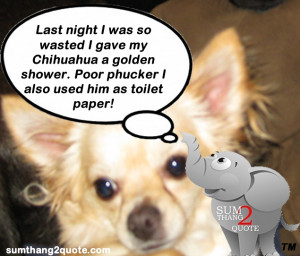Quoteoftheday Quotes Funny Chihuahua Dogs Toiletpaper