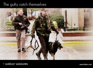 Copyright © 2015, Like Success, All rights reserved. Privacy, Terms ...