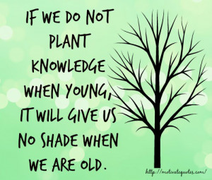 plant 300x255 The Most Powerful Weapon