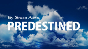 predestined-sola-gratia.png