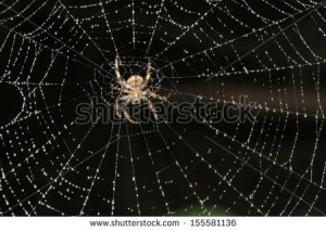 Spiderweb Set Vector Creepy
