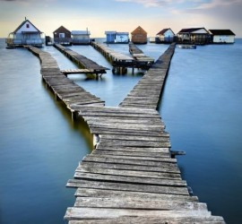 Fork In The Road Quotes Fork