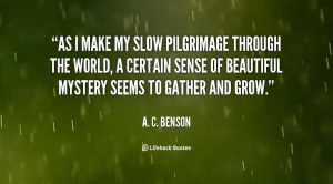 Copy the link below to share an image of this quote: