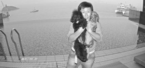 Francesca, a Miniature Poodle, and Ding Ding, a Miniature Dachshund,
