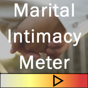 Marital_Intimacy_Meter.png