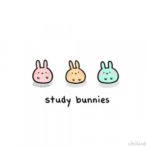 Study bunnies, Chibird