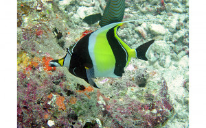 Funny Quotes Contact Dmca...