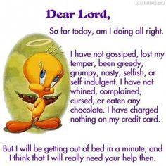 ... quote cartoons funny quote funny quotes tweety bird looney tunes More