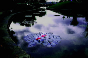 ... sea,quote sea,quotes of the sea,save water slogans,biblical quotes