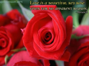 Love Is A Beautiful Red Rose