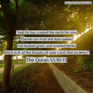 Quran Surah A R Rahman