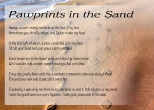 Featured Item: Pawprints in the Sand