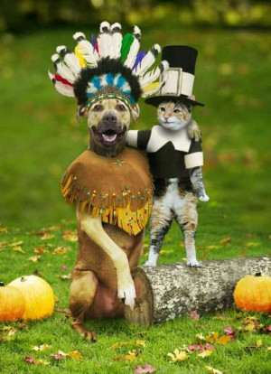 thanksgiving pictures, happy thanksgiving pictures, funny thanksgiving ...
