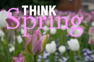 Think Spring