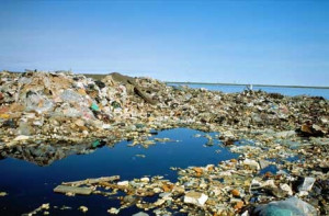 The Great Pacific Garbage Patch