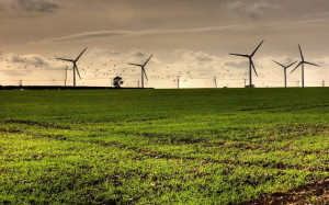 Imagem de Fundo - Paisagem verde com geradores eólicos