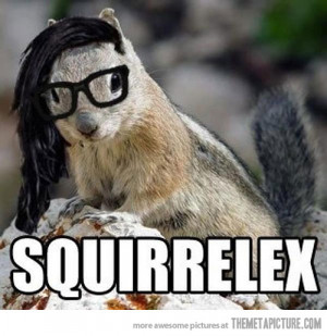 Funny photos funny Skrillex squirrel hair glasses