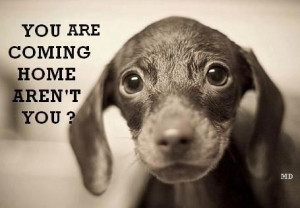 You Are Coming Home Aren’t You