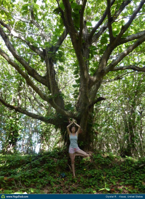 Vrikshasana Tree Yoga Pose