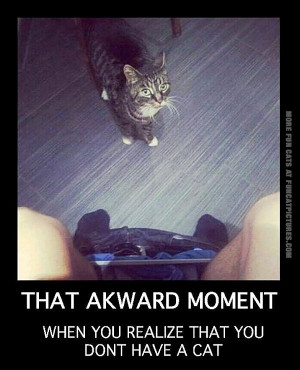 funny-cats-that-awkward-moment-when-you-realize-you-dont-have-a-cat