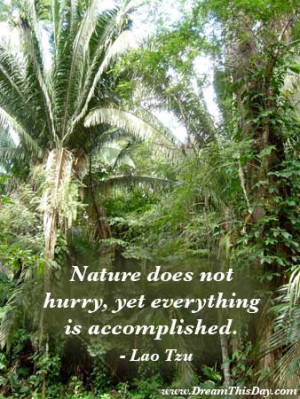 Nature does not hurry, yet everything is accomplished.