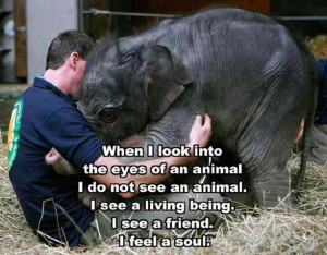 ... Animal. I See A Living Being, I See A Friend. I Feel A Soul” - A.D