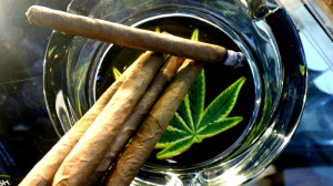 Turnt Up Quotes turnt up is the excitement