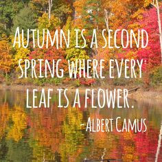 fall #autumn #quotes #nature #leaves #beauty #outdoors #garden # ...