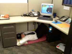 Go Back > Gallery For > Costanza Sleeping At Desk