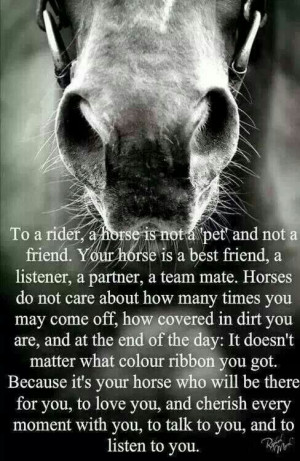 Best friends are horses