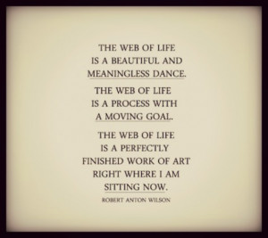 The web of life is a beautiful and meaningless dance. The web of life ...