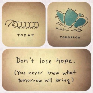 don't lose hope