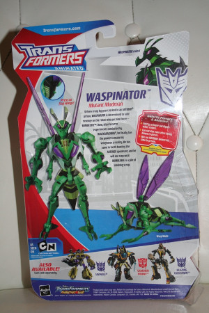 Transformers Animated Waspinator