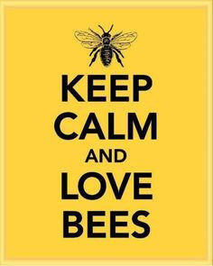 ... love honey bees bees things bees honey calm quotes queens bees bumble