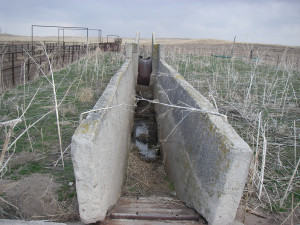 Cattle Dips. Toxaphene Remediation