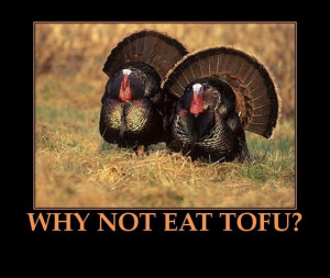 Funny Turkey Pictures | Thanksgiving Turkey images, Pictures