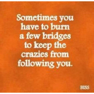 funny sometimes you have to burn a few bridges to keep the crazies ...
