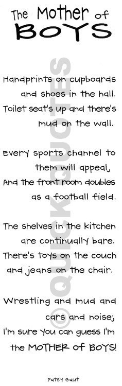 Mother of Boys: messy house, empty cupboards, shoes in the hall ...