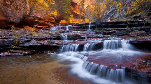 Small creek in Zion National Park wallpaper