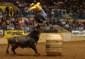 Rodeo Bullfighter Bullfighter andy burrell leaps