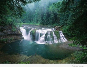 Lower Lewis River Falls – Gifford Pinchot National Forest ...