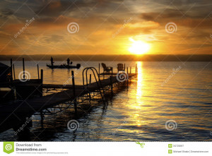 Funny Quotes Contact Dmca...