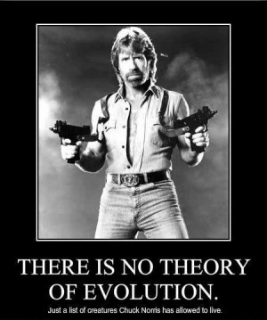 Chuck Norris Quotes and Jokes
