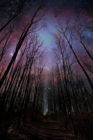 Funny photos beautiful night sky woods stars
