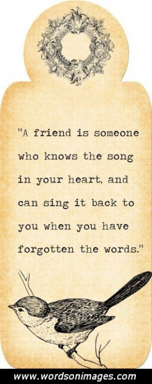 Rare friendship quotes