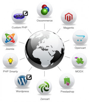 Web Developer in India- Good Costing with High Quality