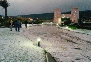 ... en la carretara entre Lagos de Moreno Jalisco y Leon Guanajuato