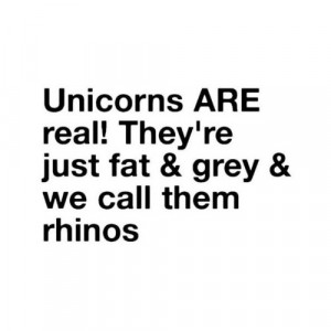 Unicorn Quote